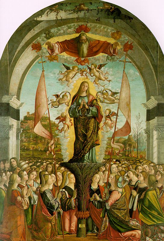 The Apotheosis of St. Ursula