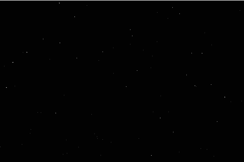 24 � - ���, ���, ��������, ����� ���