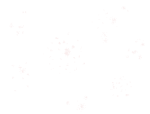 �������������� ��������