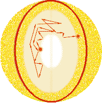 �������� ������ � ������ ����������� ������